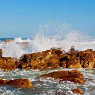   Güney Afrika gökyüzü okyanus yedek olarak  