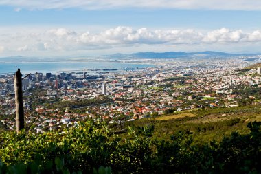 Güney Afrika cape town şehir manzarası içinde dağ 