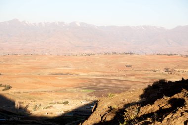   Güney Afrika'da kara çalı ve ağaç 