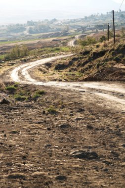   Güney Afrika'da kara çalı ve ağaç 