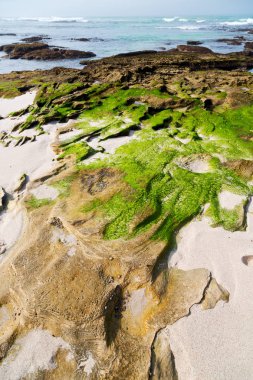  Güney Afrika gökyüzü okyanus yedek olarak