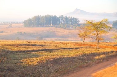   Svaziland yaban hayatı doğa rezerv 