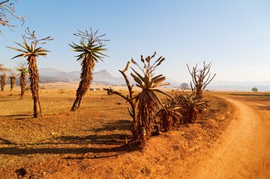   Svaziland yaban hayatı doğa rezerv 