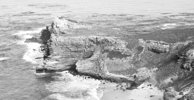   Güney Afrika kıyı şeridi ve doğal park rezerv