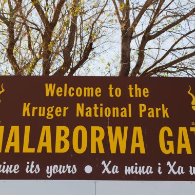   Güney Afrika kapı sinyal girişi  