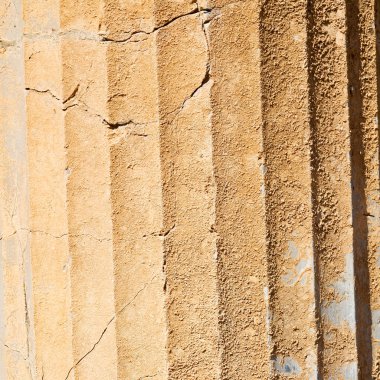 eski iran mousque çiçek