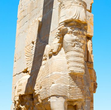 İran persepolis  