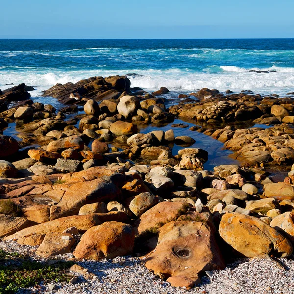 南非的天空海洋保护区 — 图库照片