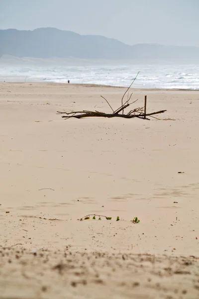 In south africa   sky  ocean       reserve — Stock Photo, Image