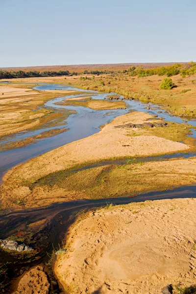   Güney Afrika yaban hayatı su bitki ve ağaç