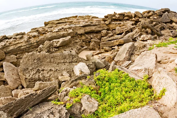 In Zuid-Afrika hemel Oceaan natuurreservaat — Stockfoto