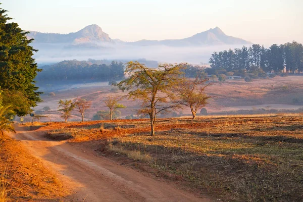   Svaziland yaban hayatı doğa rezerv 