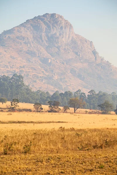 Wild nature reserve, swaziland — Stockfoto