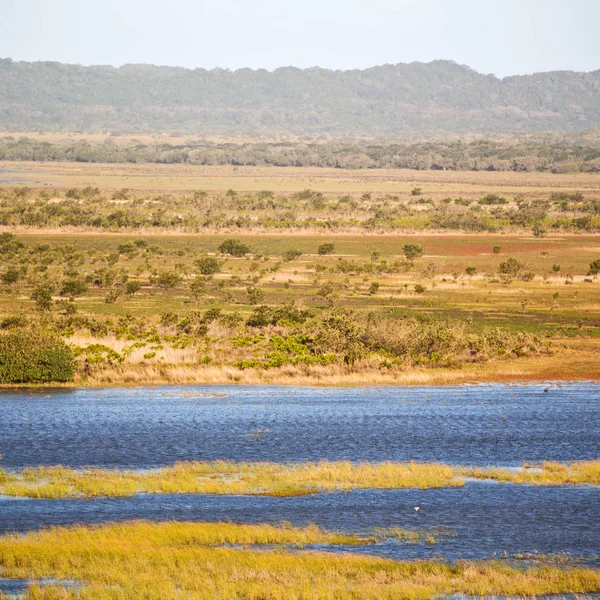 En Afrique du Sud étang lac réserve naturelle et buisson — Photo