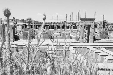 İran persepolis  