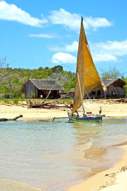 Pirogue plaj deniz yosunu Hint Okyanusu house rock