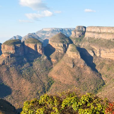   Güney Afrika nehir kanyonun bitki ve su   