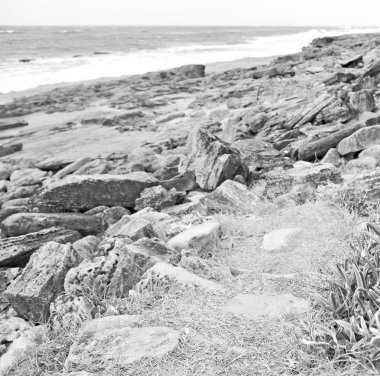  Güney Afrika gökyüzü okyanus doğa rezerv 