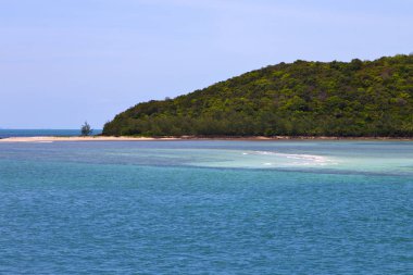  Güney Çin Tayland Samui kıyı şeridi yeşil ve ağaç 