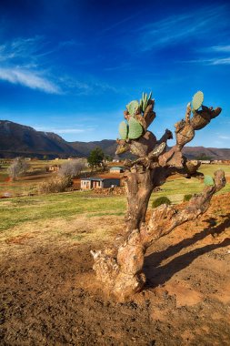  Lesotho sokak köyde mountain yakınındaki  