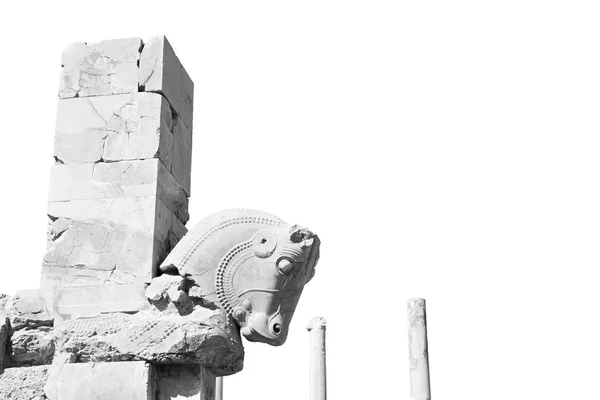 In Iran persepolis — Stockfoto