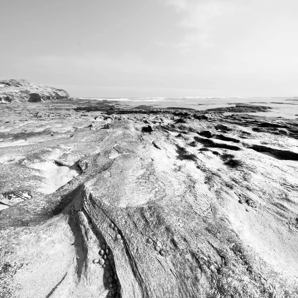 En Afrique du Sud ciel océan réserve — Photo