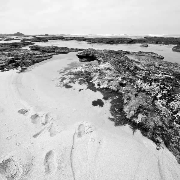 I det sydlige Afrika havreserve - Stock-foto