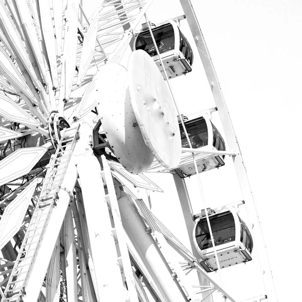 Güney Afrika'da bulanıklık ferris Nunik yakın çekim — Stok fotoğraf