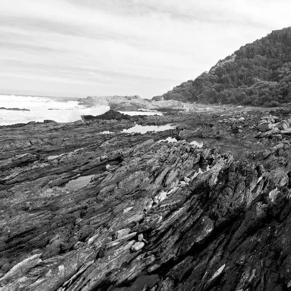 In south africa   sky  ocean      reserve — Stock Photo, Image