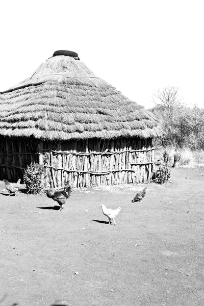 In lesotho  street village near   courtyard — Stock Photo, Image