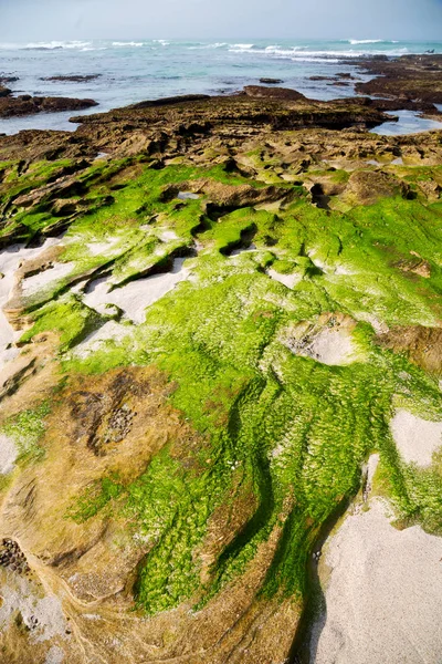 Na África do Sul céu oceano reserva — Fotografia de Stock