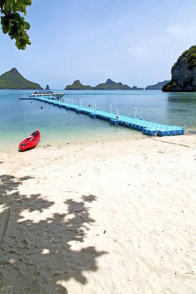 Plastik-Pier Küste der grünen Lagune und Baum Phangan b — Stockfoto