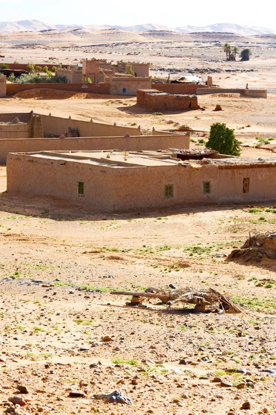 Sahara Afryka Maroko dłoń starego kratownicowa i jego — Zdjęcie stockowe