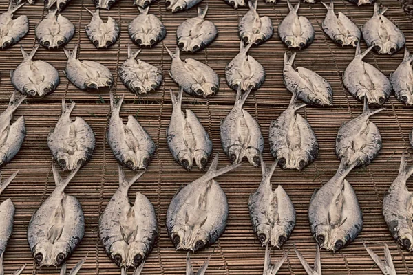 Veel vis gezouten en drogen van de voorbereiding op de markt — Stockfoto