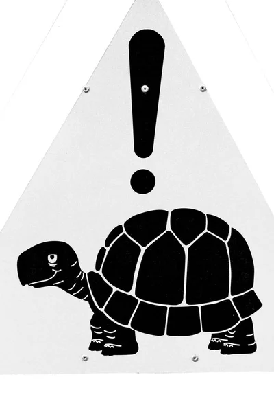 In south africa close up of the turtle sign — Stock Photo, Image