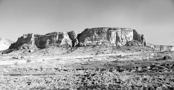 Güney Afrika'da kara çalı ve ağaç — Stok fotoğraf