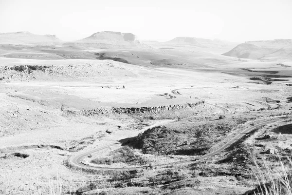 Na África do Sul arbusto terra e árvore — Fotografia de Stock