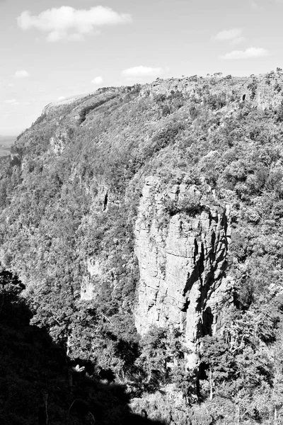 Na África do Sul canyon planta e água do rio — Fotografia de Stock