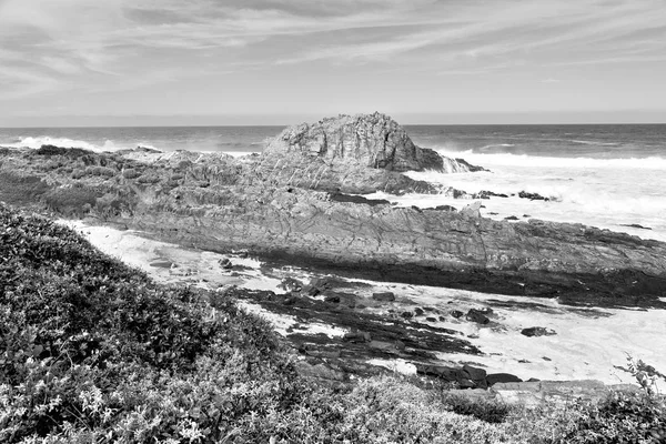 V Jižní Africe sky oceánu rezervaci — Stock fotografie