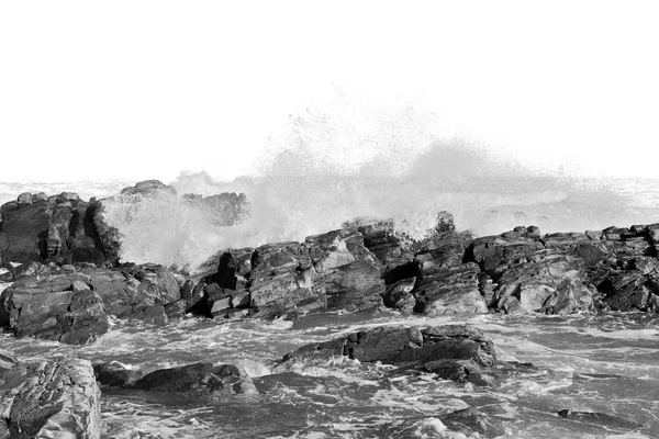 In Zuid-Afrika hemel Oceaan reserve — Stockfoto