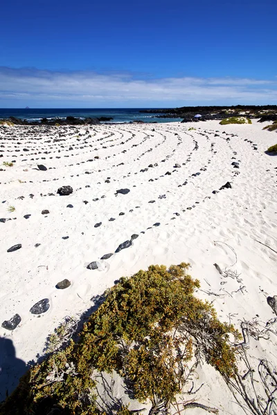 Espagne île blanc spirale noir lanzarote — Photo
