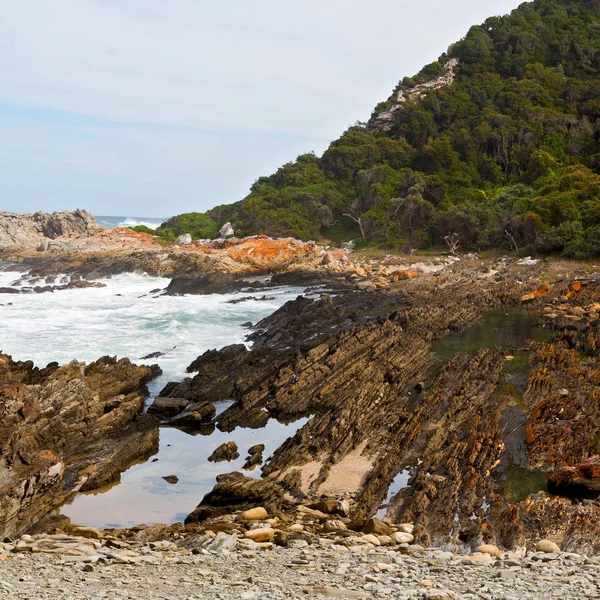 In Sudafrica riserva oceanica del cielo — Foto Stock