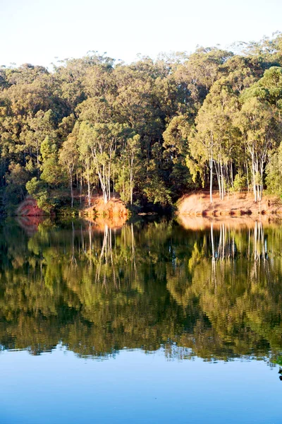 Η λίρα λίμνη και δέντρο αντανάκλαση στο νερό — Φωτογραφία Αρχείου