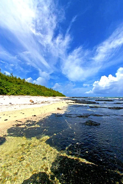 Ζανζιβάρη Ινδική Άμμου Νήσου Φύκια Παραλία Βράχου Ουρανό — Φωτογραφία Αρχείου