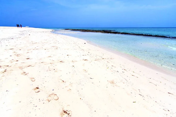 Ζανζιβάρη παραλία φύκια footstep άτομα ουρανό και υγρό — Φωτογραφία Αρχείου