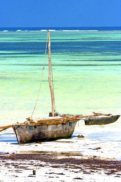 Zanzibar beach wodorostów w niebo piasek wyspa i łodzi — Zdjęcie stockowe