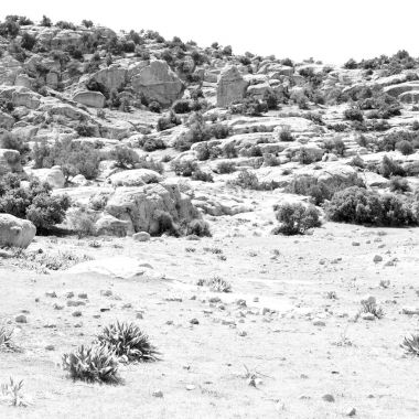 doğal vahşi yaşam Vadisi doğal rezerv