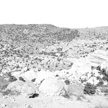 doğal vahşi yaşam Vadisi doğal rezerv