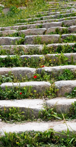 Die antike verlassene Treppe mit Blumen und Gras — Stockfoto