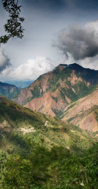   coultivation pirinç Teras alanı   